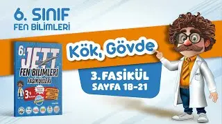 K&ouml;k, G&ouml;vde - 6. Sınıf Jett Fen Bilimleri - Fasik&uuml;l 3 - 1. B&ouml;l&uuml;m - Sayfa 18-21