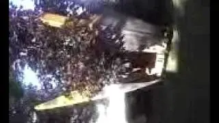 Moving A 20 Foot Japanese Maple Tree