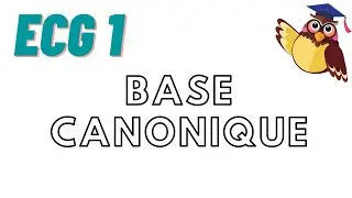 EV de dim finie : cours 3 : Base canonique d'un espace vectoriel