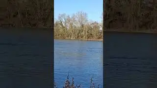 CANAL LAT&Eacute;RAL DE LA GARONNE O&Ugrave; LA SAVE LE RUISSEAU ET LA GARONNE SE REJOIGNENT