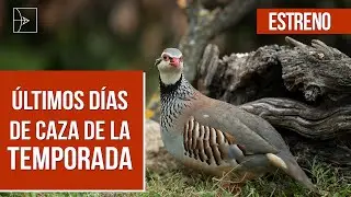 &Uacute;ltimo d&iacute;a de la temporada | Iberalia GO!