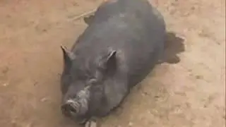 el inbioparque