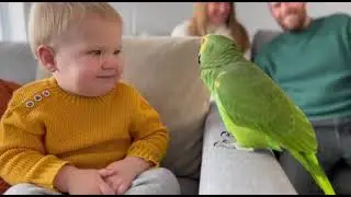 You Won’t Believe This Baby Talking to a Parrot!