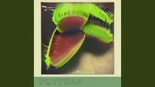 Melancholical