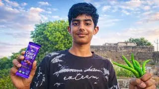 I Tried Dairy Milk To Mix With Chili 🌶️ ! Chocolate खा के हालत खराब हो गई