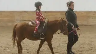 Size small pony for sale or lease