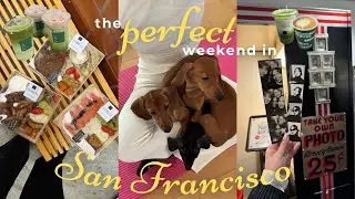 SF VLOG | puppy yoga, vintage photobooth museum, cafe hopping 🎞️