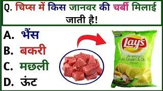 GK Question || GK IN Hindi || GK Questions And Answers || GK Quiz || 