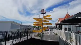 Обед в Paris Weekend Cafe с Бадди.