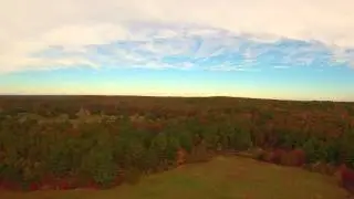 QX3  Leaf  Peep Peeping Cape Cod MA