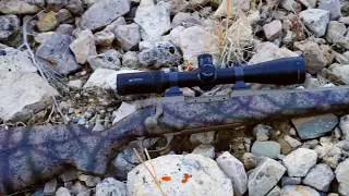 Weatherby Mark V Outfitter FDE