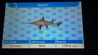Alle Fische in Animal crossing new Leaf