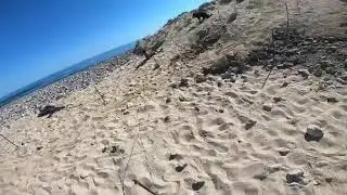 Spartan Obstacle Race Barbed Wire Crawl