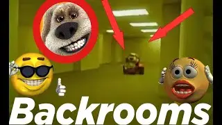 BACKROOMS INCIDENT.MP4
