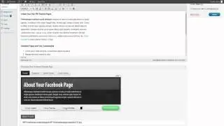 Wordpress Facebook Timeline Plugin