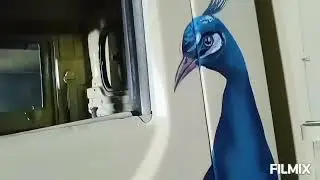 Tata ace door art#peacock drawing # TATA ace# oviya spray painting# art's#