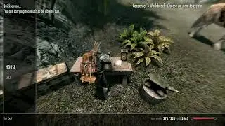 Building Lakeview Manor - Skyrim AE #532