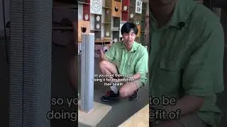 3 совета, как отучить кошку царапать диван