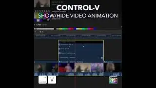 Final Cut Pro Shortcut | Control-V | Show/Hide Video Animation