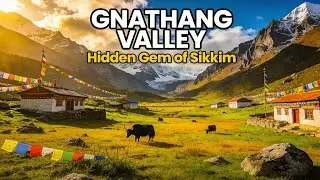 Nathula Pass & Gnathang Valley Travel Guide- East Sikkim Silk Route Adventure