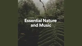 Essential Nature and Music, Pt. 11
