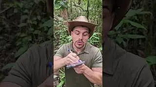 Tuto : BOWHUNTING 🏹 #mentawai #tribe #bow #traditional #culture #plants #forest #tutorial #nature