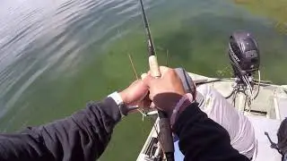 Diamond Valley Lake 