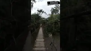 Jungle Trekking and Tours in North Sumatra