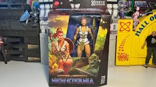 Masterverse New Eternia Teela !!!