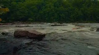 Refreshing River Water Sounds for Deep Sleep, Relax Mind, insomnia, Stress Relief, Study 12 hours