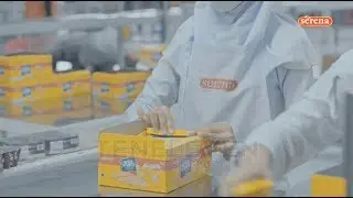 SERENA Biscuit Factory - Khong guan Group
