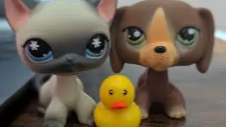 LPS | Grooming Spa Play Pack | Unboxing 