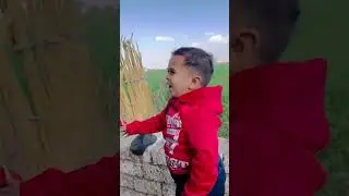 المعلم بذره بتاع الطرومبات 😂