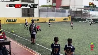 Lanús Peru vs West HamCopa AeluCategoria 2017
