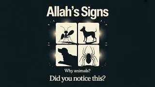 7 Life Lessons Allah Taught Through Animals in the Qur&rsquo;an