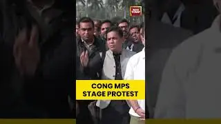 Cong MPs Stage Protest After 8 Opposition MPs Suspended