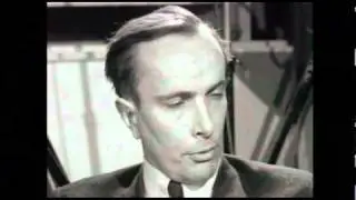 SVT: Nils Petter Sundgrens störda intervju med Bo Widerberg