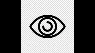 What is Visual Perception?