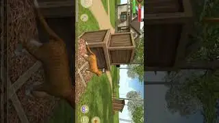 cat simulator #animalshort #cat #catlover #trending #kitten #rabbitrabbit #viral #funny
