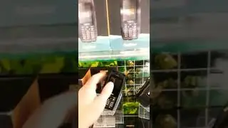 RugGear RG128 Mariner противоударный, не тонит как поплавок, много приемуществ у этого телефона