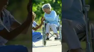 Discover ADP's Mobility Aids Program | Types & Replacement Guide