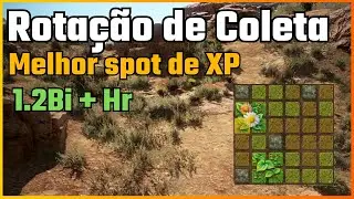 🌿 Farmando 1.2 Bi+ e Muita XP com Essa Rota&ccedil;&atilde;o de Coleta!