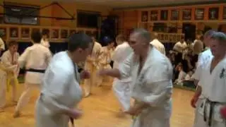 11.2008 Kyokushin belt exam / Övvizsga Orosháza