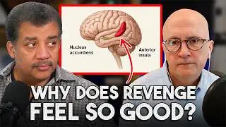 The Brain&rsquo;s Pleasure Mechanism Behind Revenge