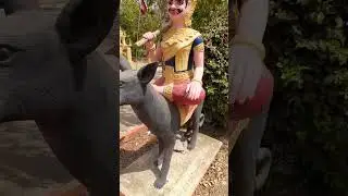 Giant ride animal #shorts