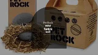 Pet Rock හරහා දියුණු වූ හැටි!