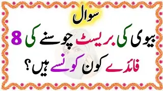 50+ Amazing General Knowledge Questions In Urdu | Islamic Paheliyan | Urdu Swal O Jawab | Urdu GK 