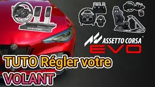 Comment r&eacute;gl&eacute; ton volant levier de vitesse et p&eacute;dale assettto corsa EVO ?!