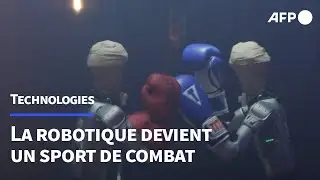 Quand les robots humano&iuml;des r&ecirc;vent de mettre K.O. le MMA | AFP