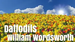 William Wordsworth - I Wandered Lonely as a Cloud (Daffodils) | Poetry reading with text